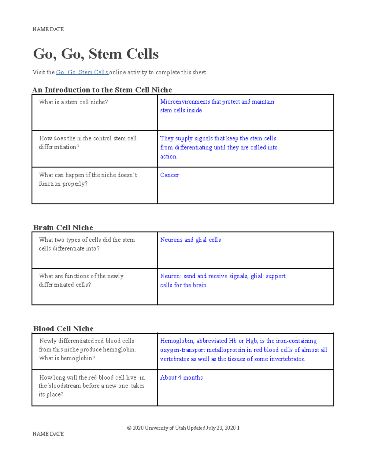 Filled Answers Go Go Stem Cells Worksheet Pdf NAME DATE Go Go Stem