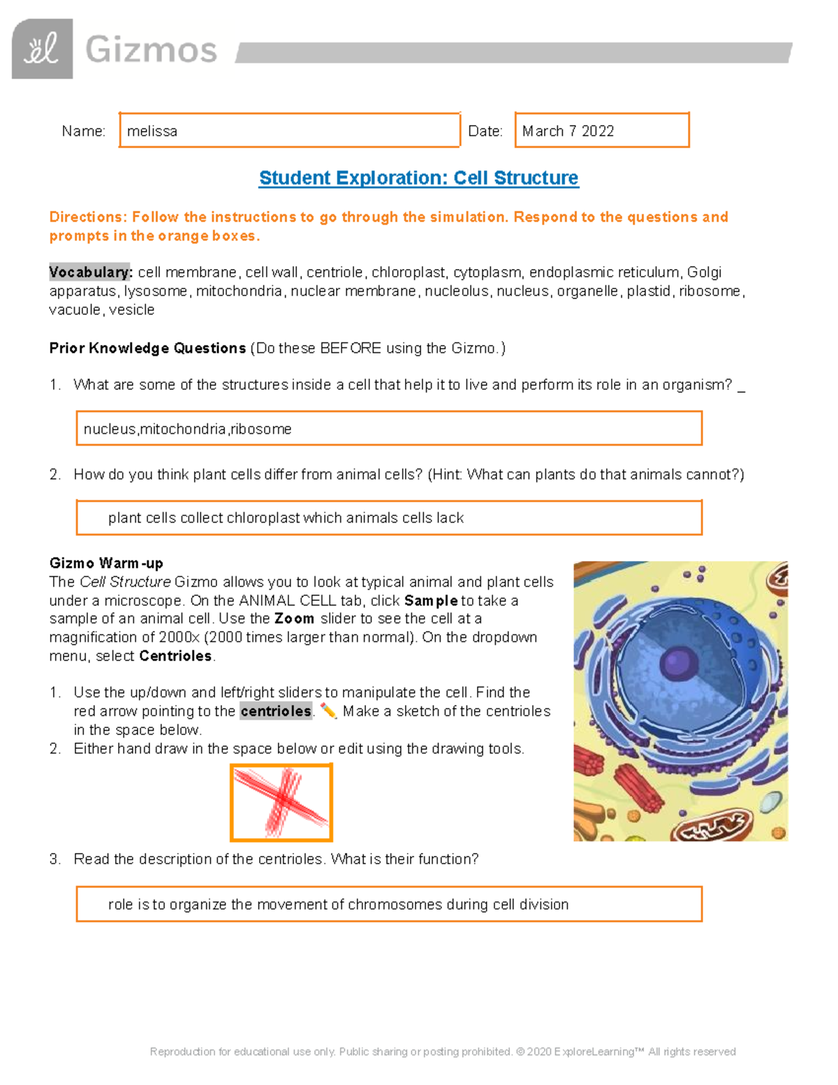 Cell Structure SE - Name: Melissa Date: March 7 2022 Student ...