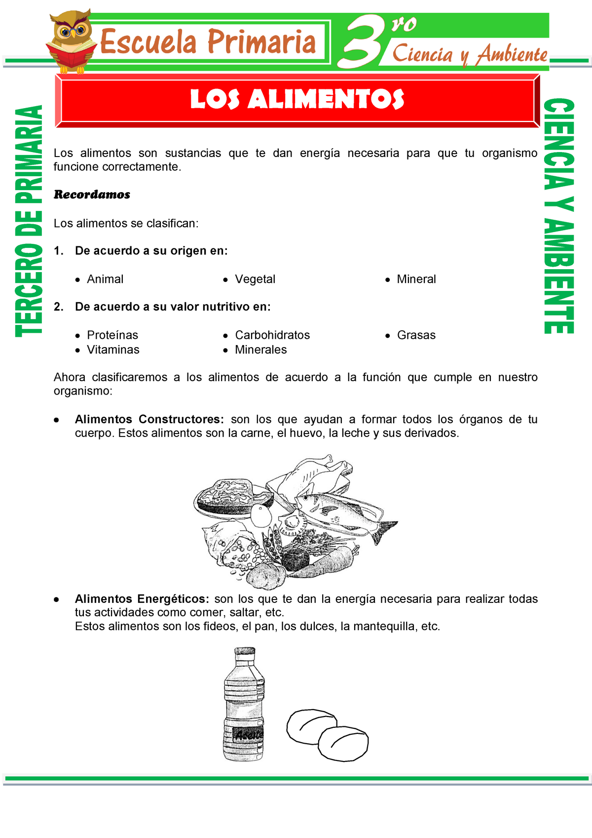 Que Son Los Alimentos Para Tercero De Primaria Los Alimentos Son Sustancias Que Te Dan Energía 9143