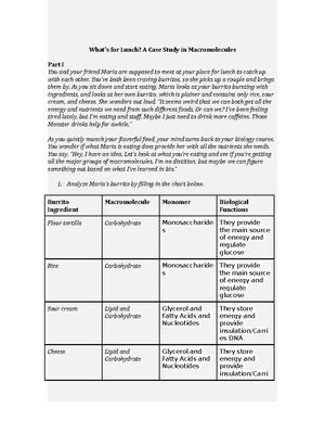 Lab Report Intro to Graphing - BIO 104 - ACC - Studocu