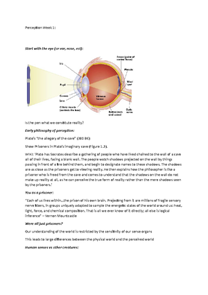 Week 4- visual cortex and beyond - Week 4: The organised brain Neural ...
