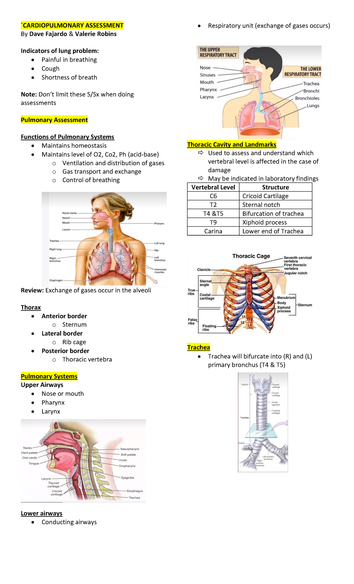 Cardiovascular Cardiopulmonary Ax - `CARDIOPULMONARY ASSESSMENT By Dave ...