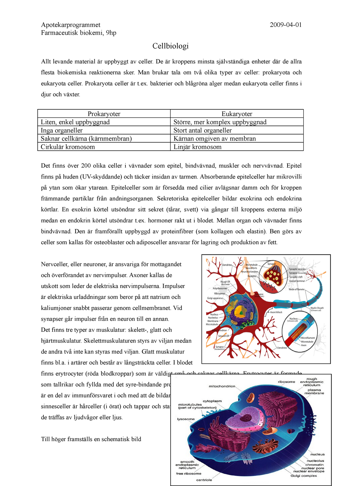 Cellbiologi-sammanfattning - Farmaceutisk Biokemi, 9hp Cellbiologi Allt ...