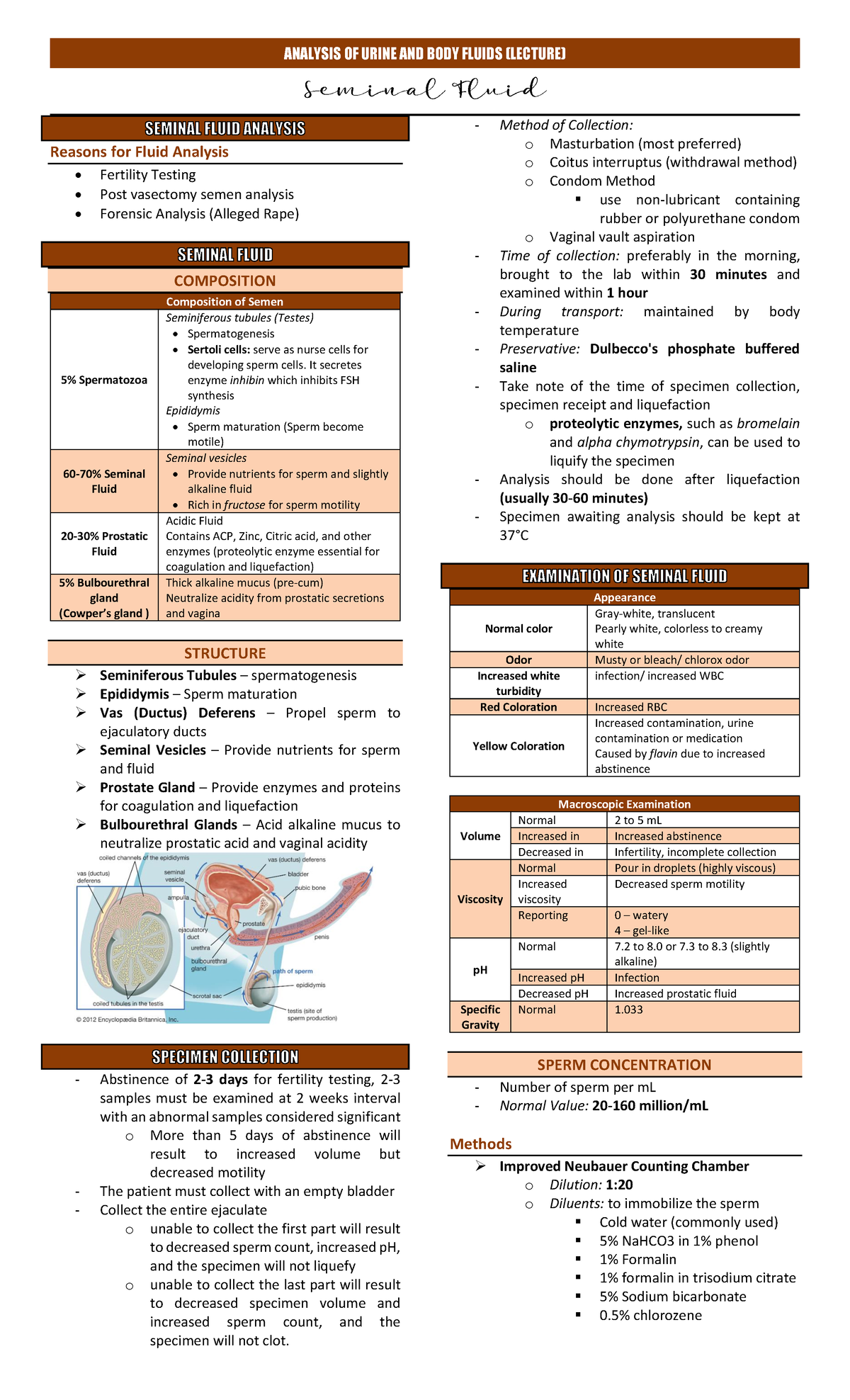 Lecture-Lesson-9 - AUBF - Reasons for Fluid Analysis • Fertility ...