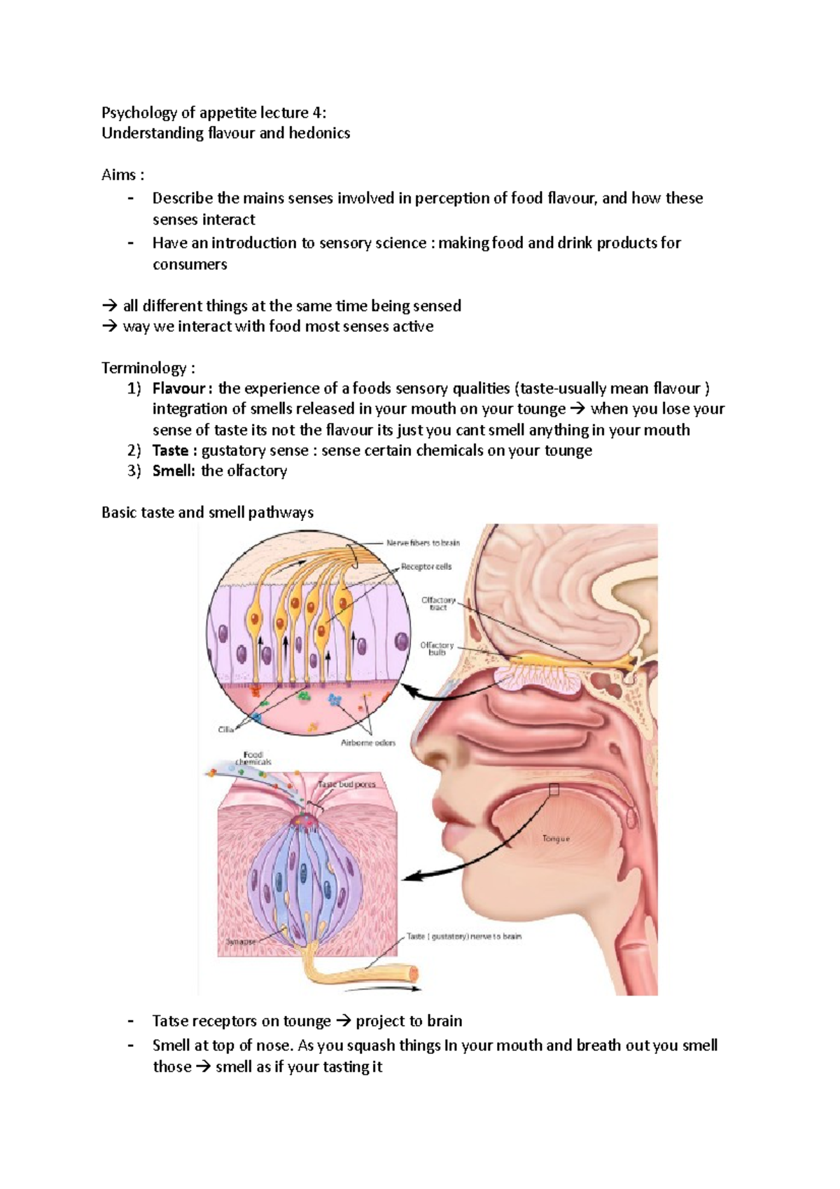 Lecture 4 understanding flavour and hedonics - Psychology of appetite ...