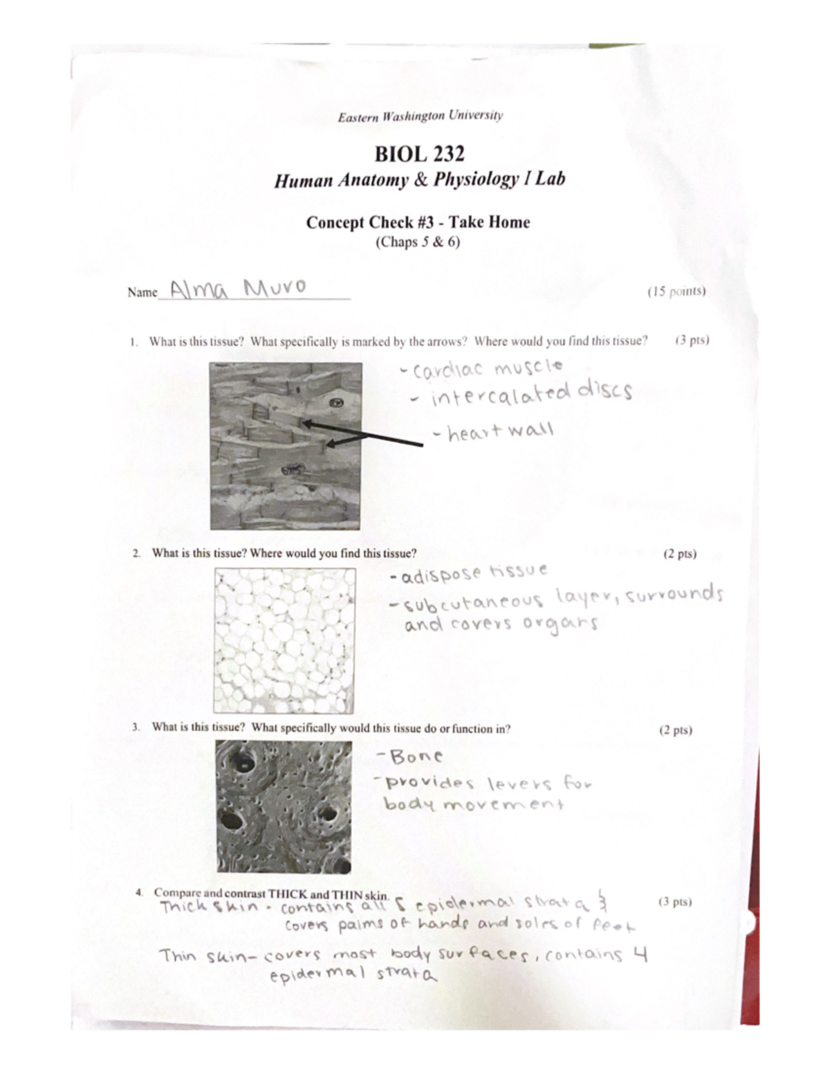 Concept Check #3 - Biology Homework - BIOL 106 - Studocu