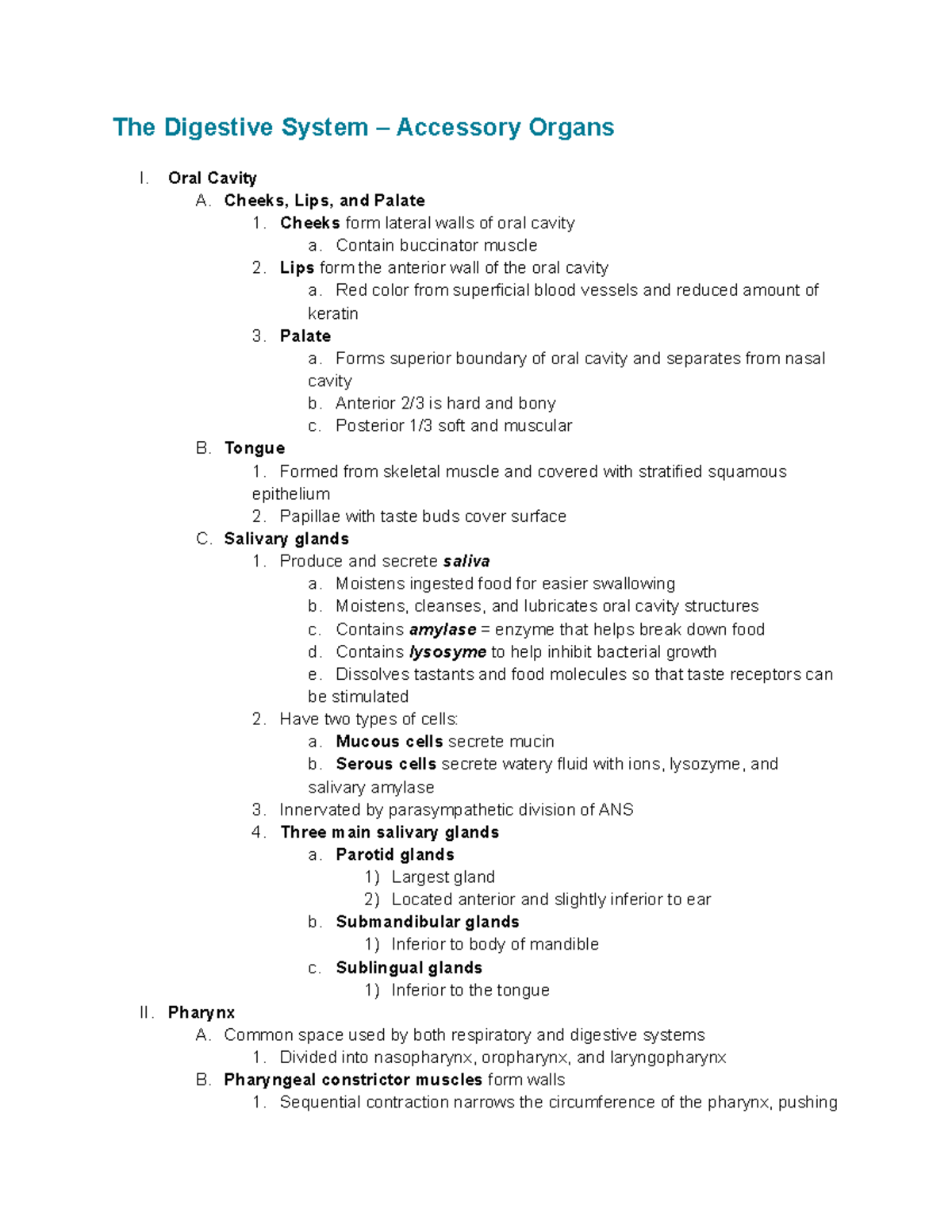 Digestive Accessory Organs 04 21 The Digestive System Accessory