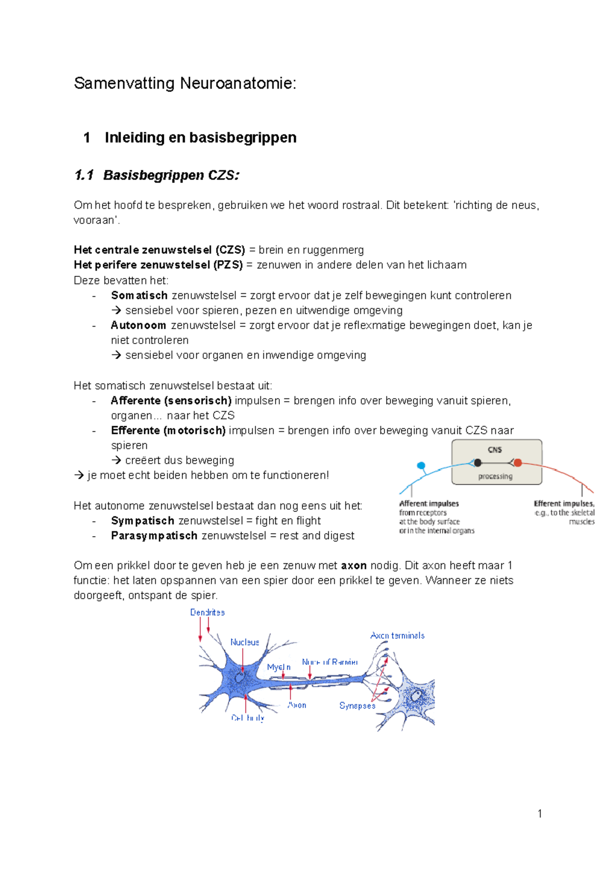 Samenvatting Neurowetenschappen (neuroanatomie En Neurofysiologie ...