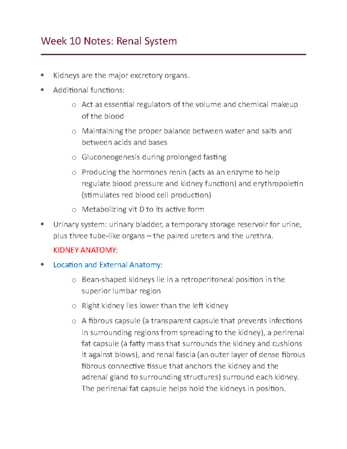 Human bioscience notes - Week 10 Notes: Renal System Kidneys are the ...