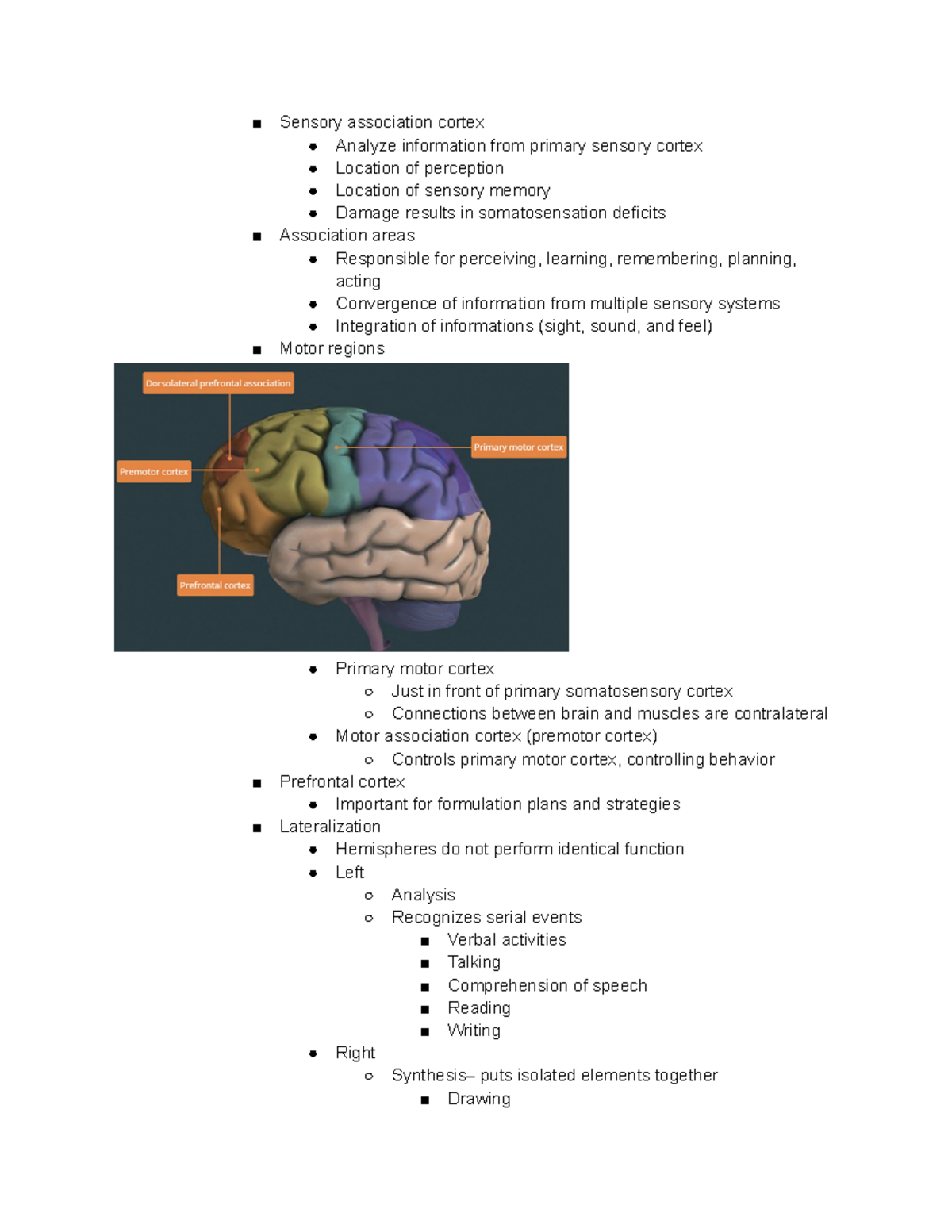 BBB Chapter 2 Notes Part 5 - Sensory association cortex Analyze ...
