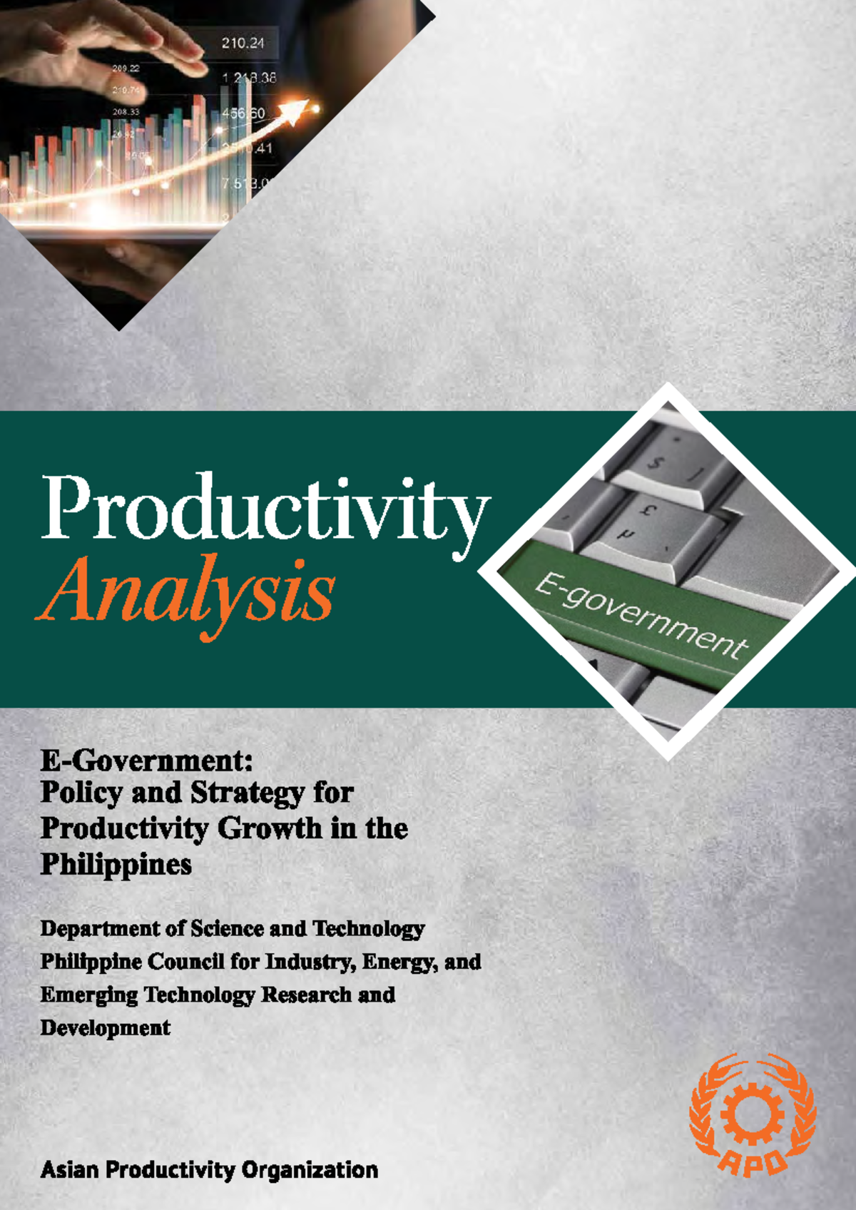 E Government Policy and Strategy for Productivity Growth - PRODUCTIVITY ...