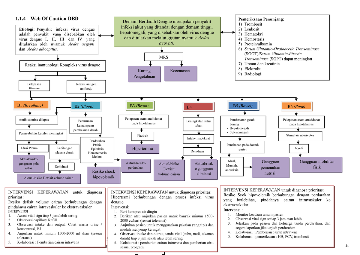 DHF 2022 Pathway - Dhf 2 - 1.1 Web Of Caution DBD Etiologi: Penyakit ...