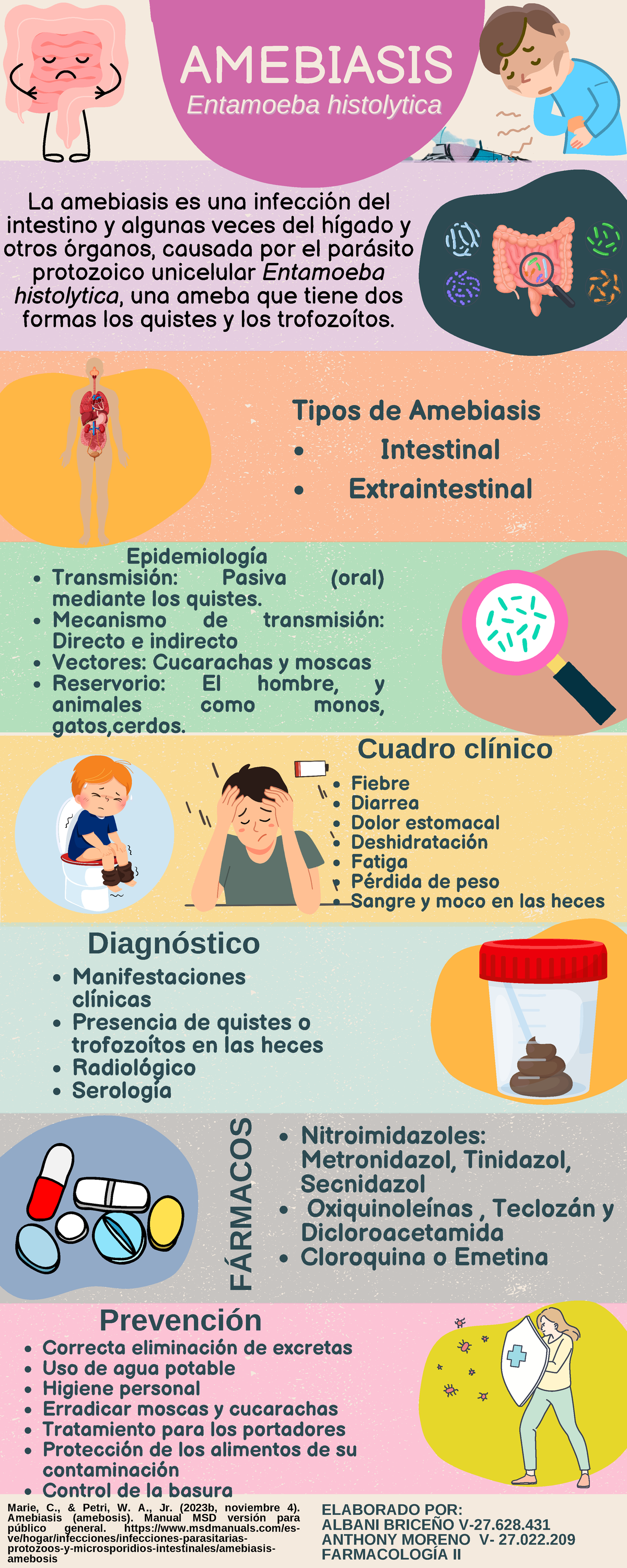 Infografia Amebiasis Resumen Amebiasis Entamoeba Histolytica Entamoeba Histolytica 6590