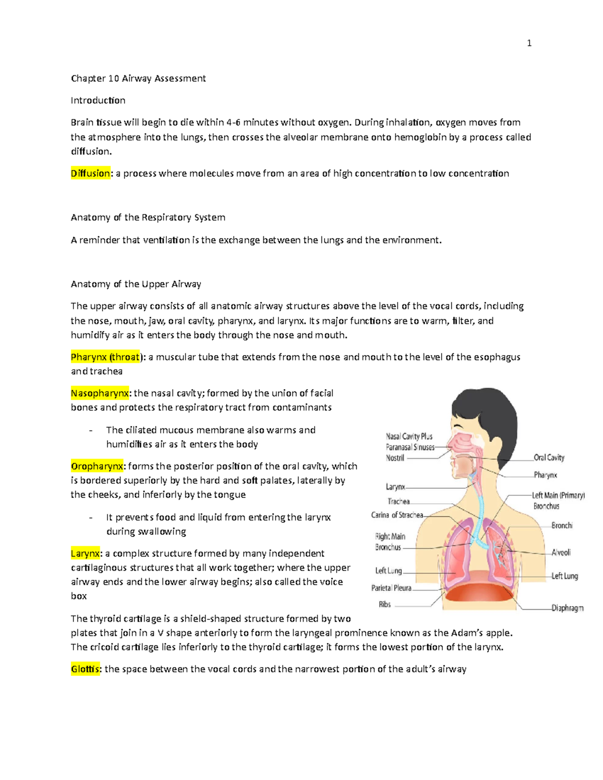 Chapter 10 Airway Assessment Chapter 10 Airway Assessment