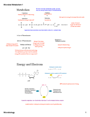 15Pathogenesis - description - Microbial Pathogenesis Pathogen ...