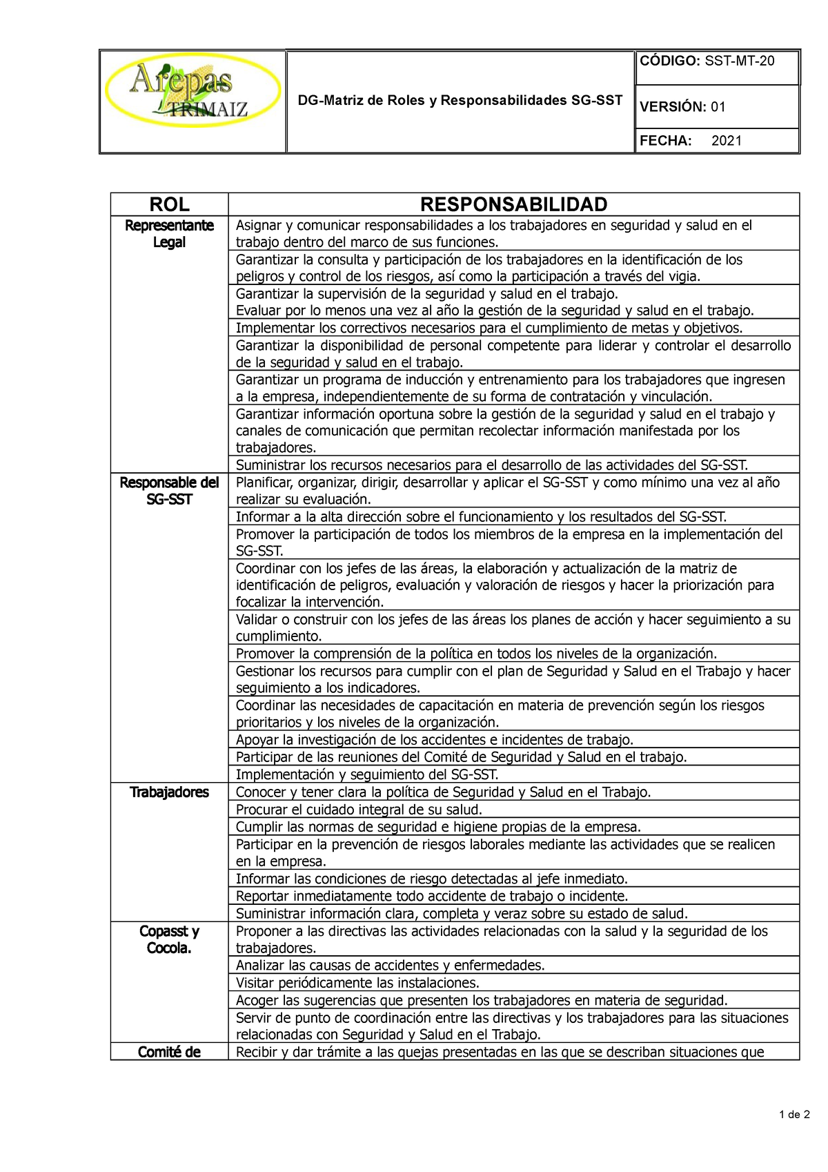 Matriz De Roles Y Responsabilidades Garantizar La Consulta Y Participación De Los Trabajadores 4285