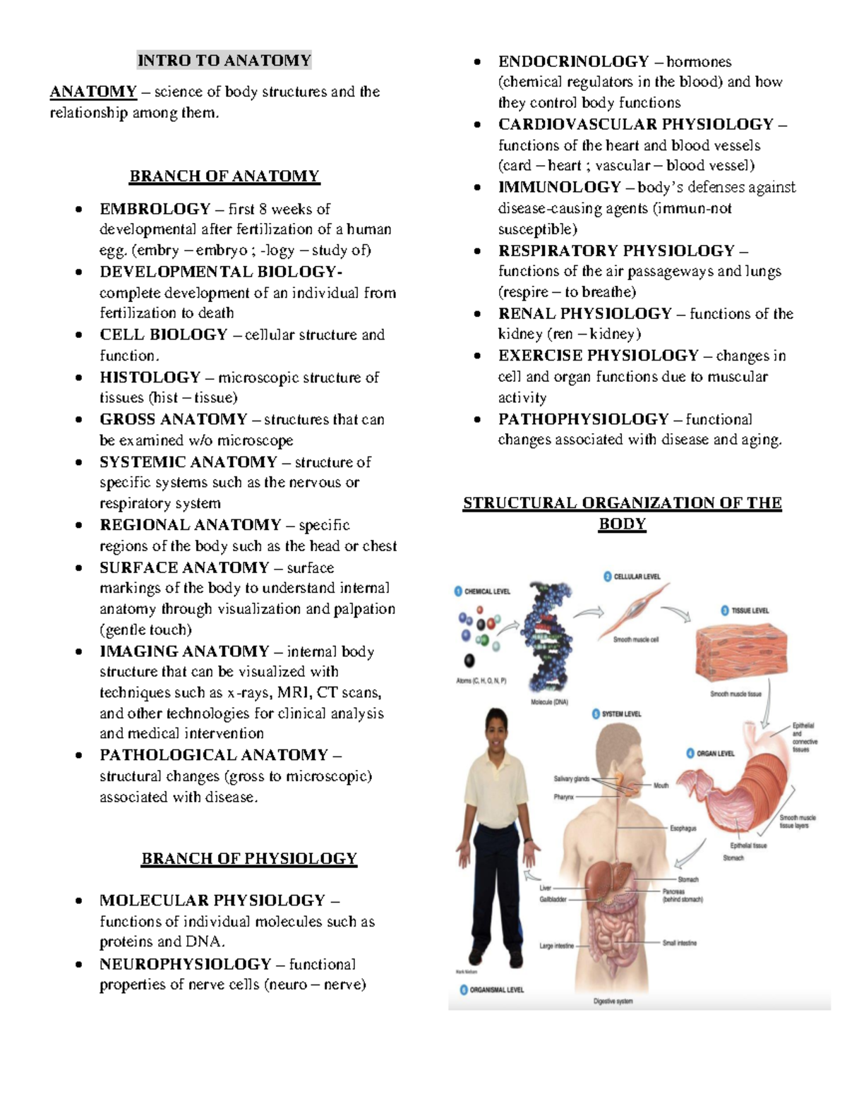 What Is The Science Of Body Structures