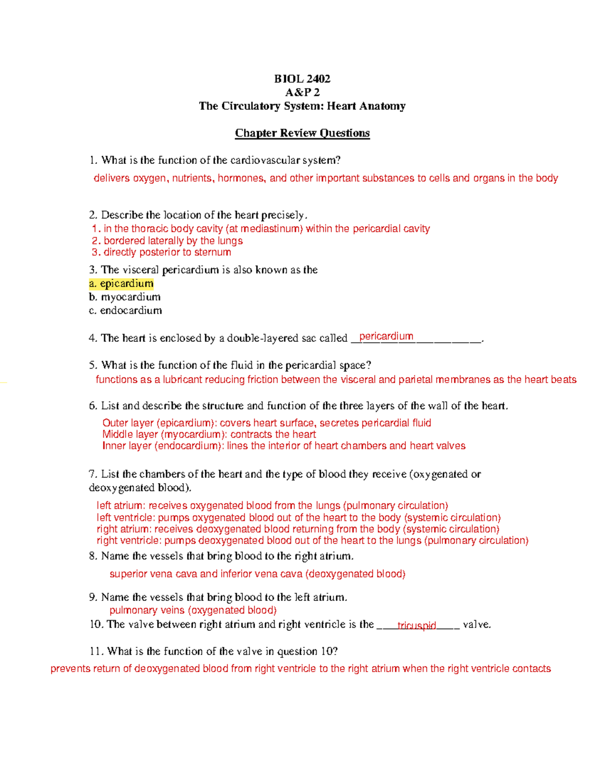 Heart Anatomy - .... - BIOL 2402 A&P 2 The Circulatory System: Heart ...