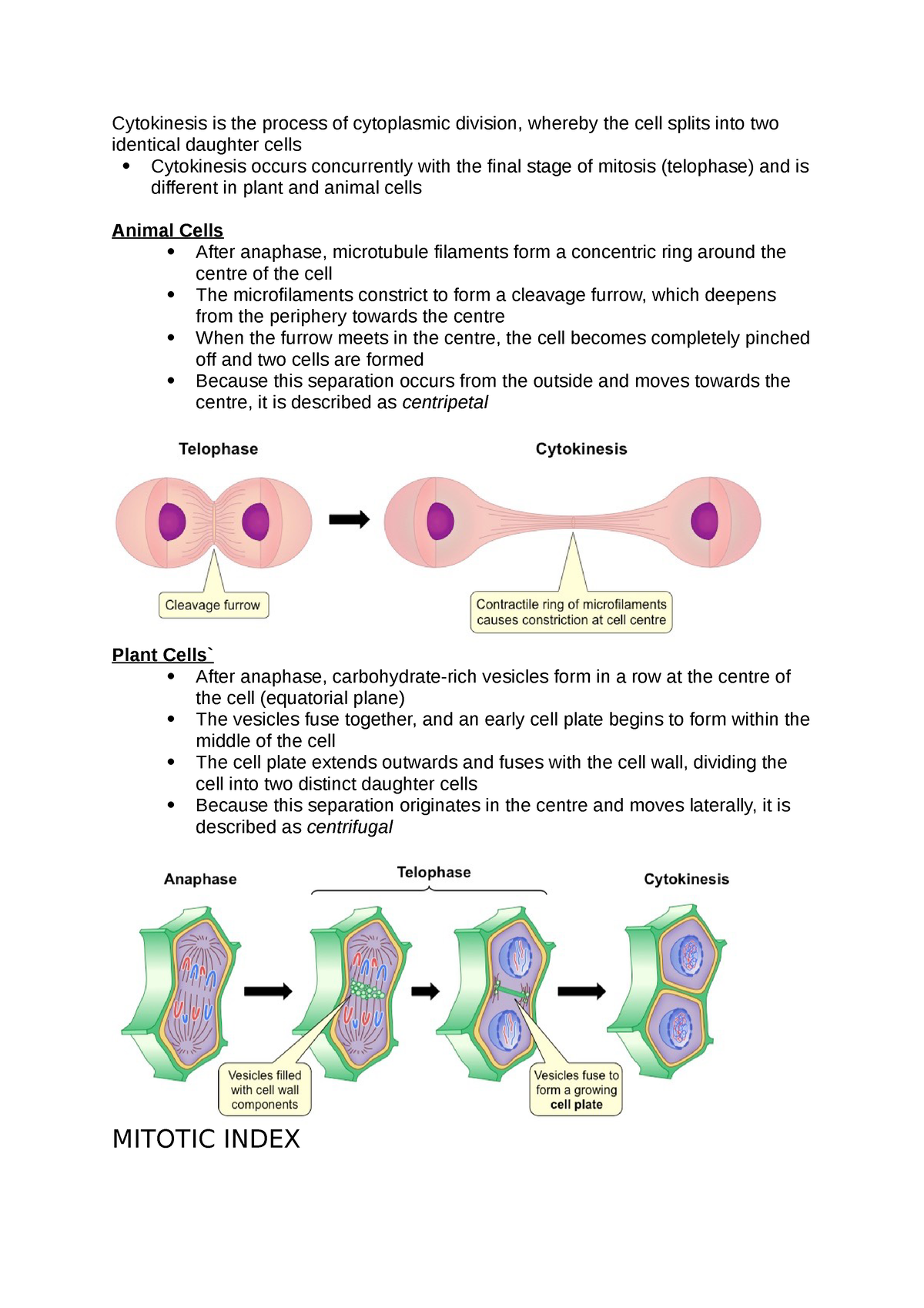 CELL Biology Notes BIO cytokinesis - Cytokinesis is the process of  cytoplasmic division, whereby the - Studocu