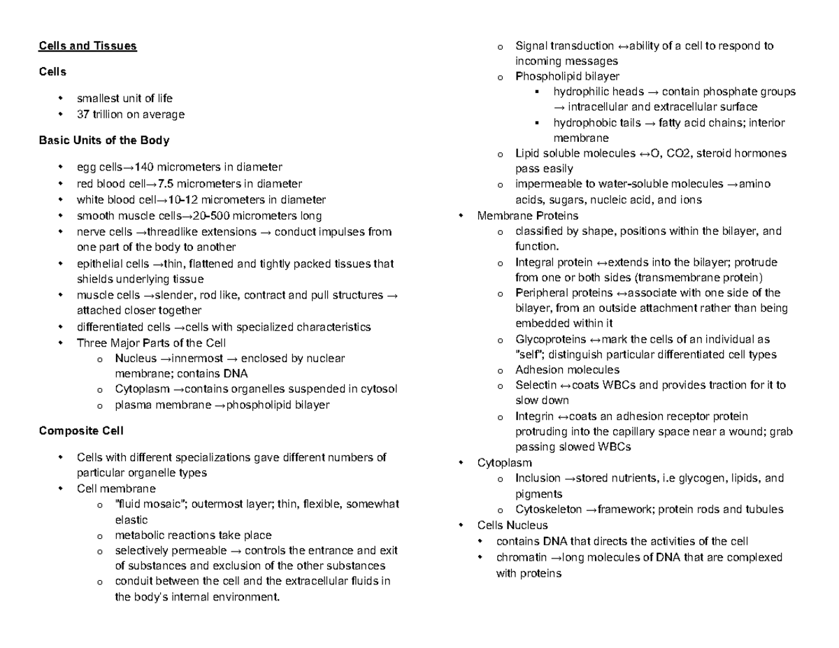 Anaphy Notes Cells and Tissues PT. 1 - Cells and Tissues Cells smallest ...