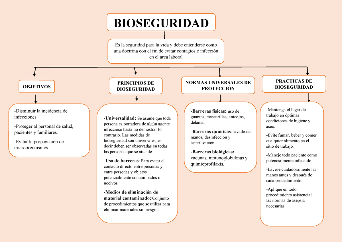 Mapa Conceptual De La Bioseguridad Bioseguridad Es La Seguridad Para La Vida Y Debe Entenderse