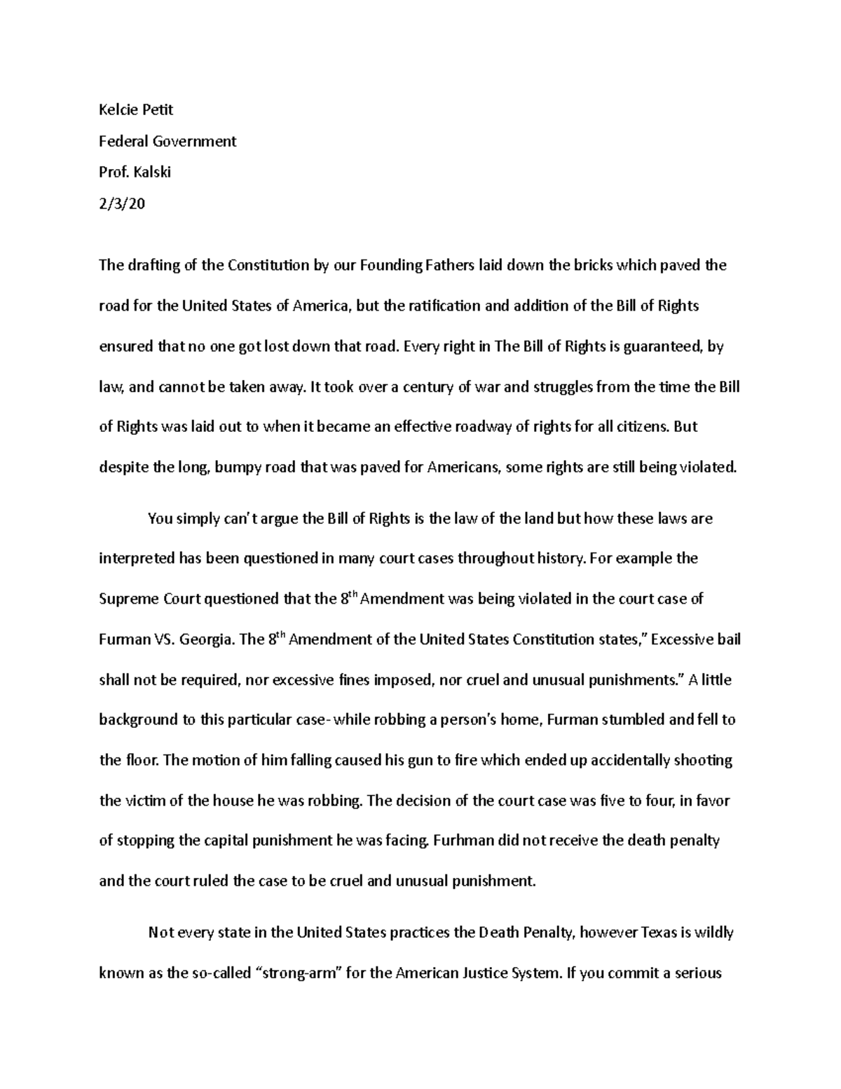 bill of rights essay brainly