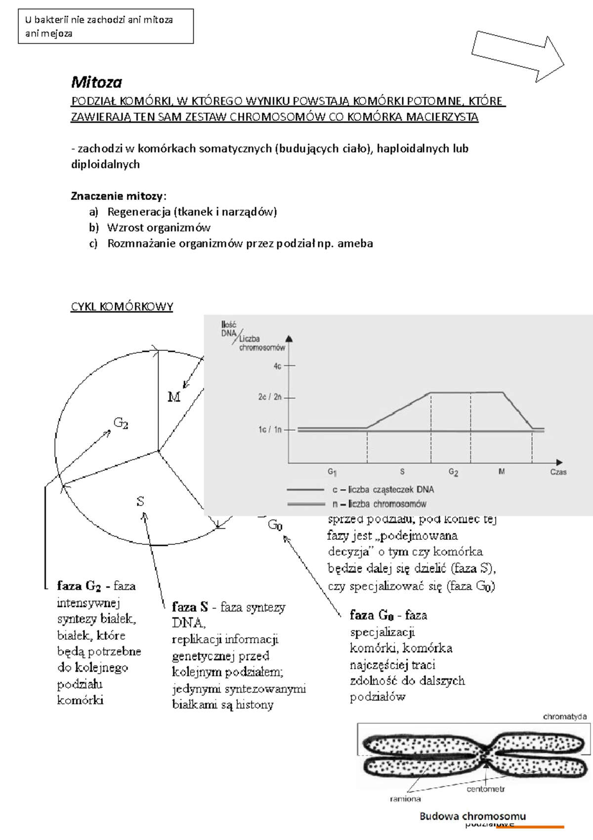 Komurka Metoza I Mejoza Sprawdzian 2 Technikom www.studocu.com