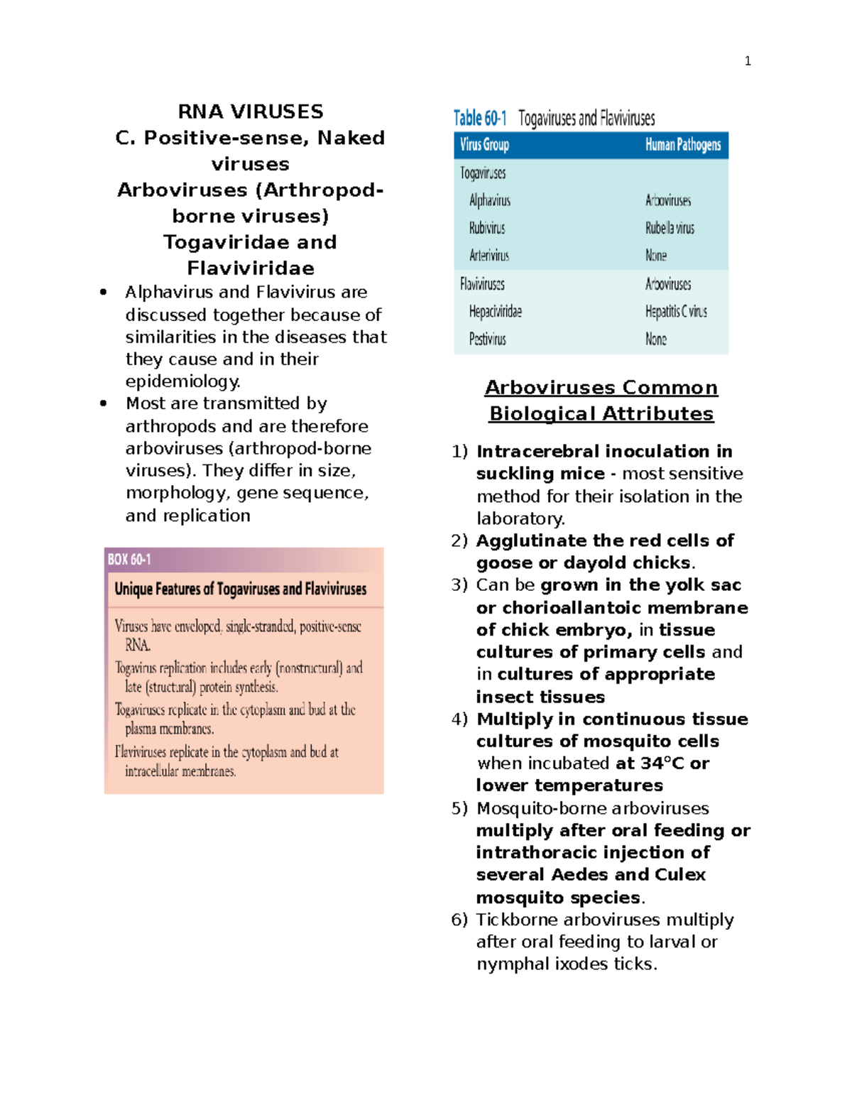 RNA Viruses Arbovirus MYCOLOGY AND VIROLOGY - Medical Technology - OLFU ...