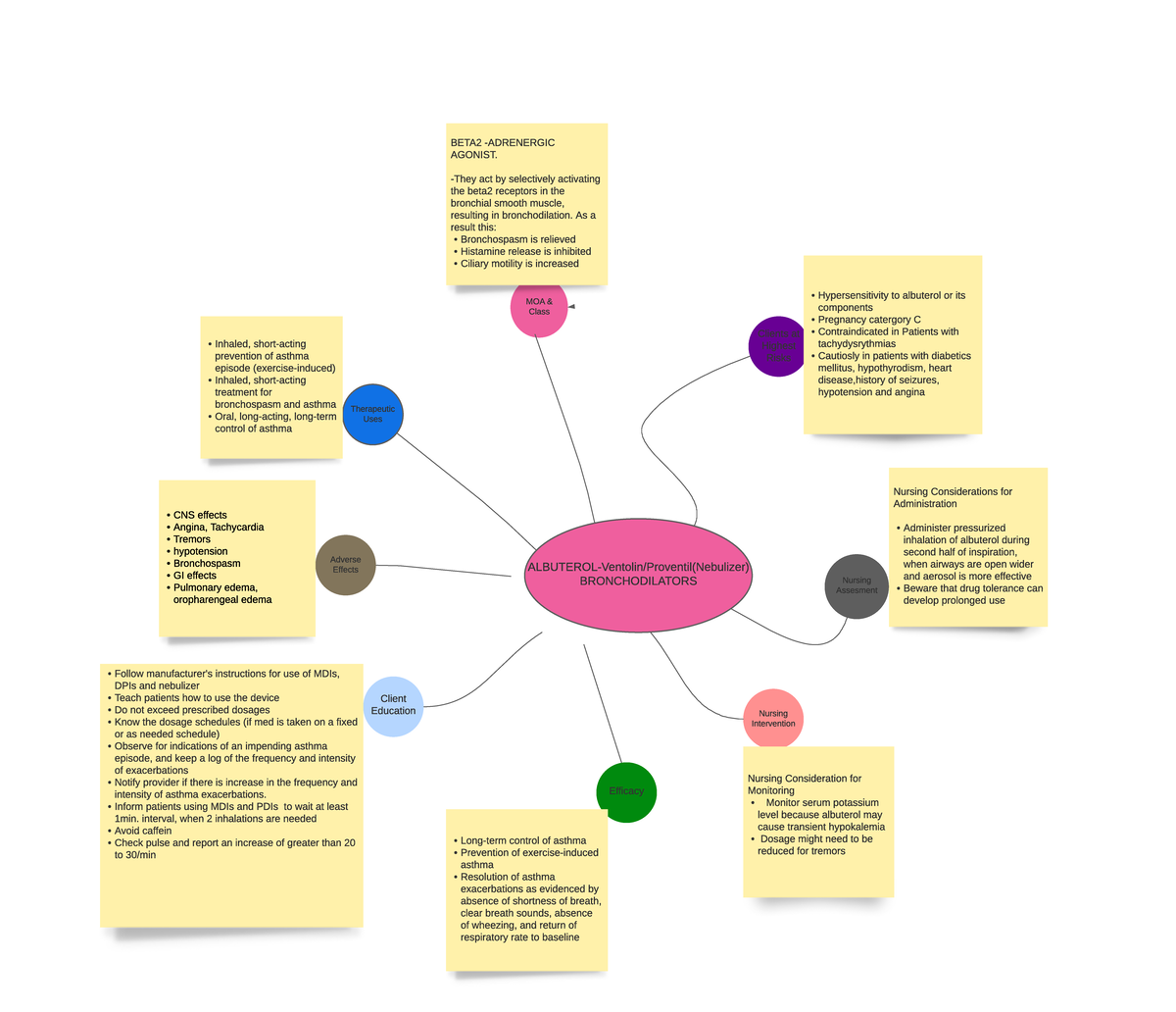 Albuterol Bronchodilator Clients at Highest Risks Nursing