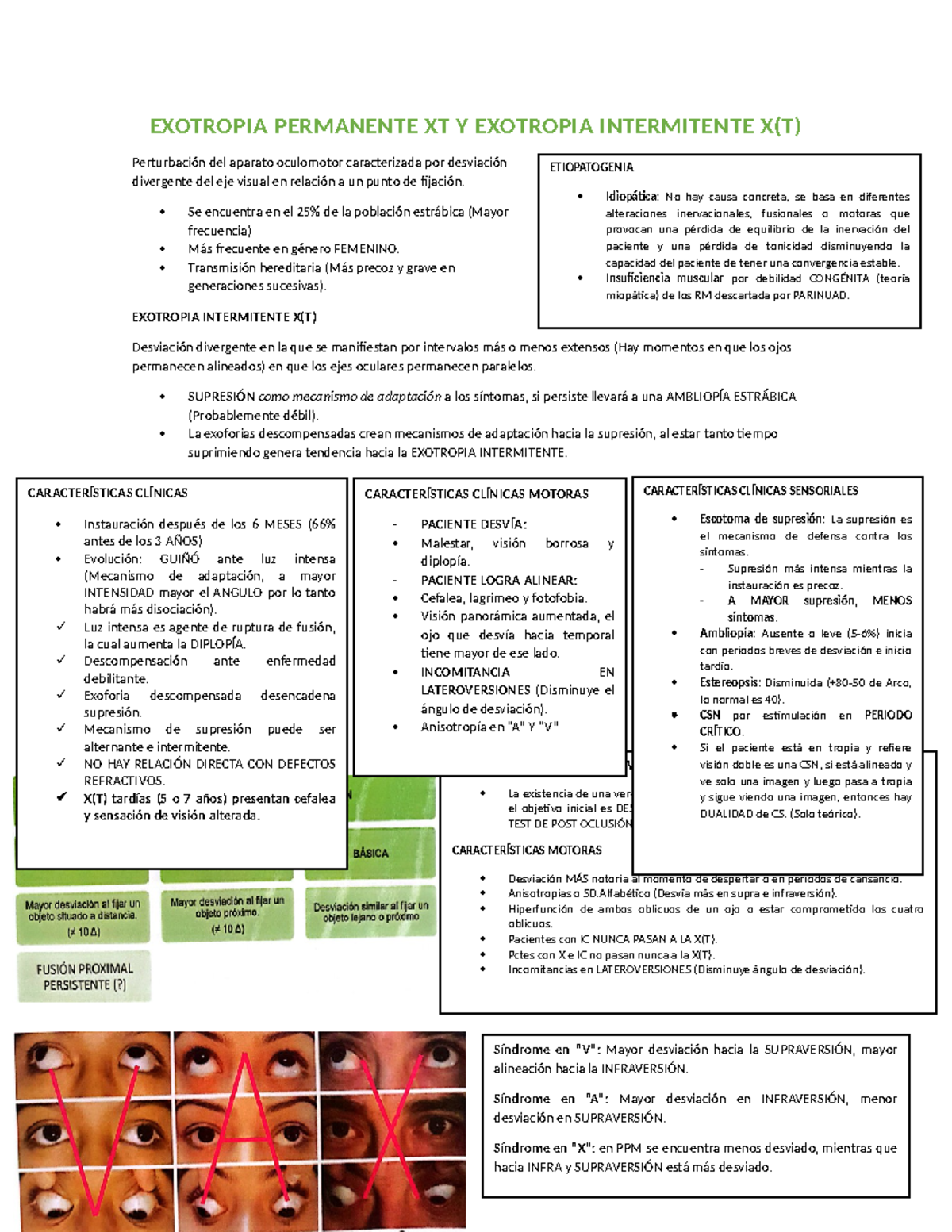 Exotropia Permanente XT Y Exotropia Intermitente X - PSEUDO-EXCESO VS ...