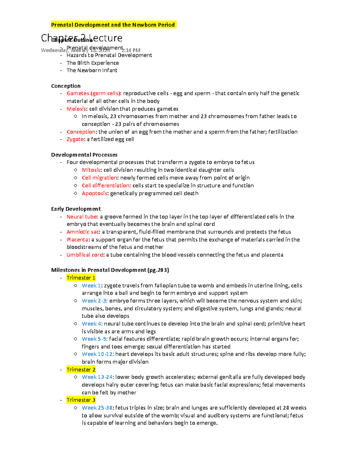 Psych 361 Chapter 2 Lecture - Prenatal Development and the Newborn ...