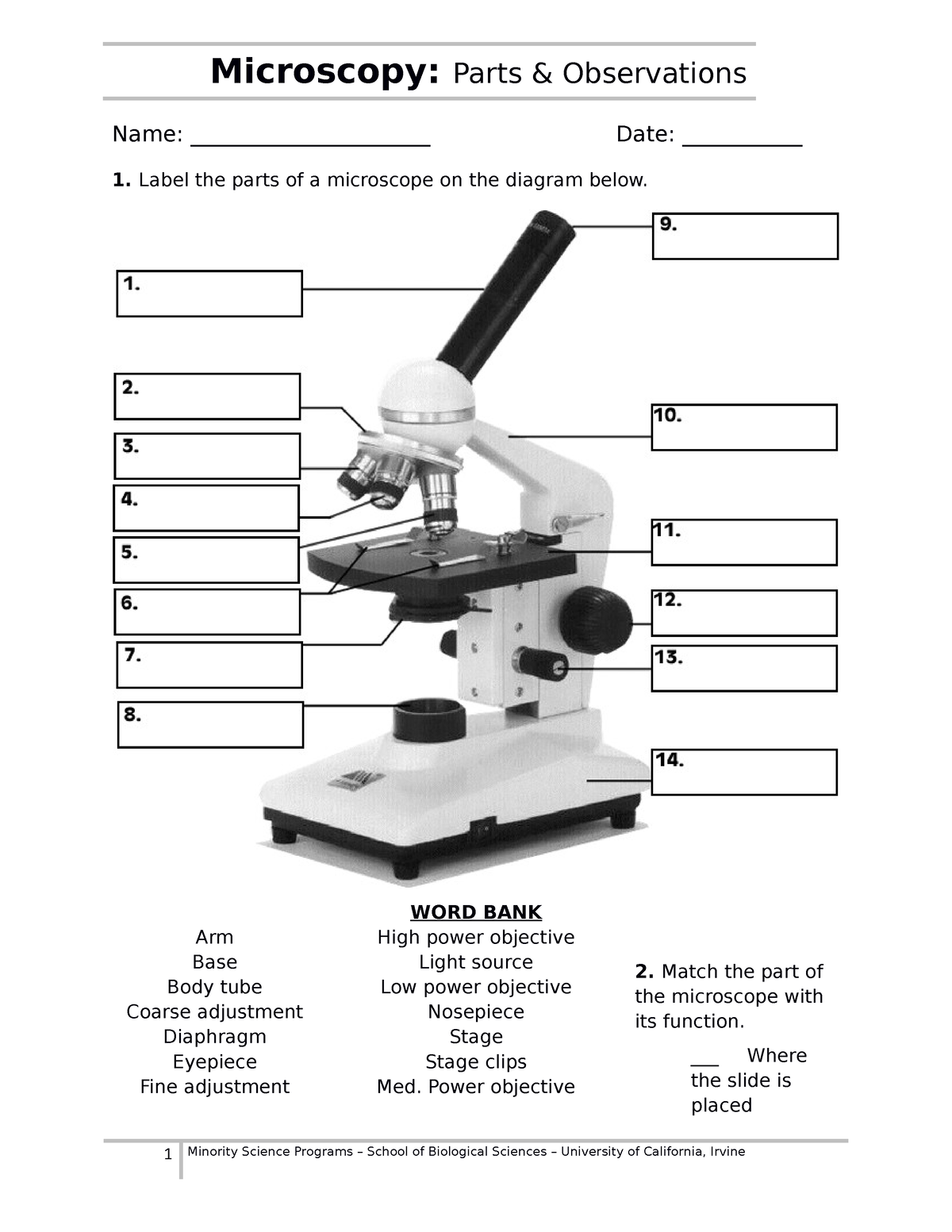 Microscope-Activity-doc - Name: ______________________ Date ...