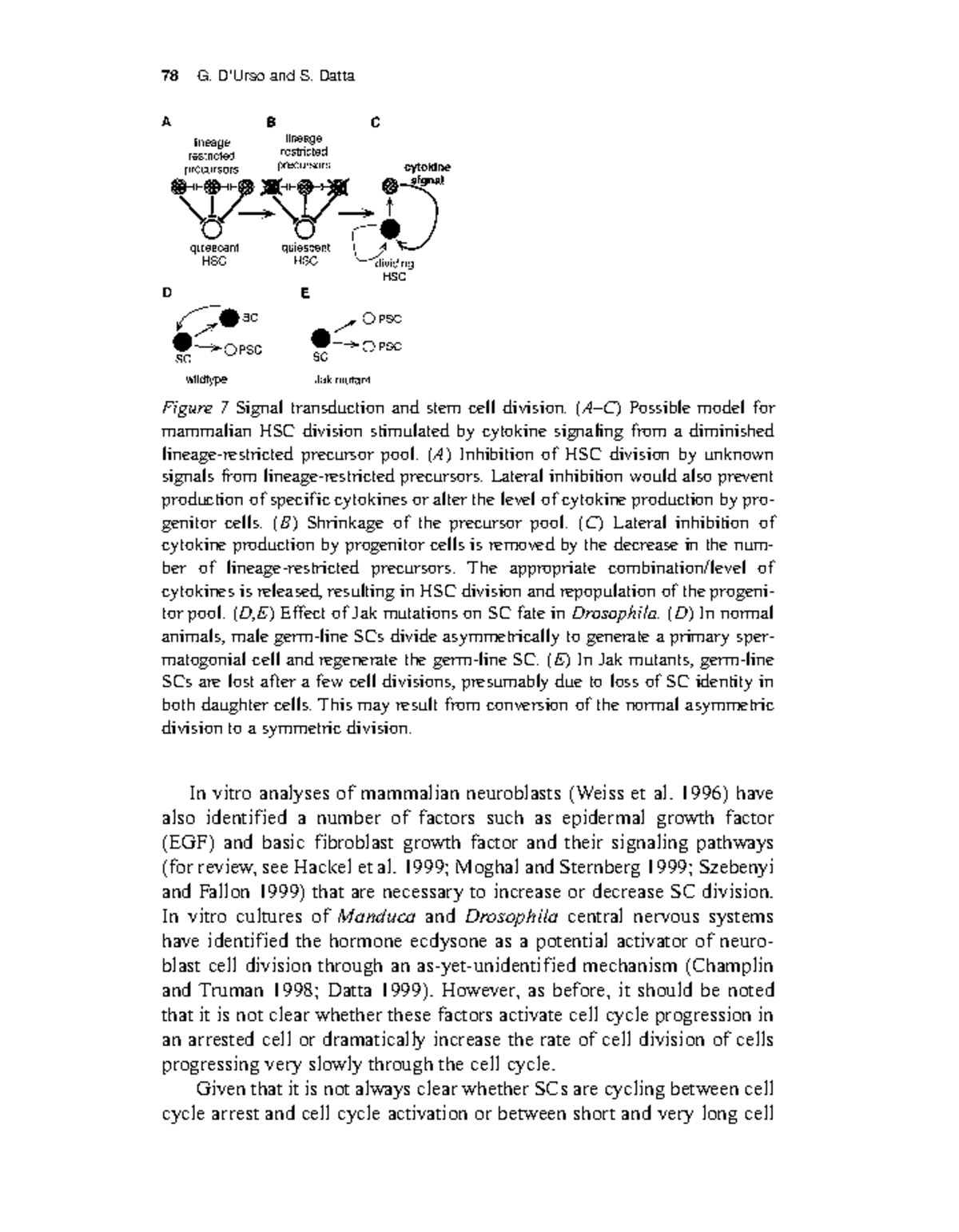 biology-stem-30-78-g-d-urso-and-s-datta-in-vitro-analyses-of