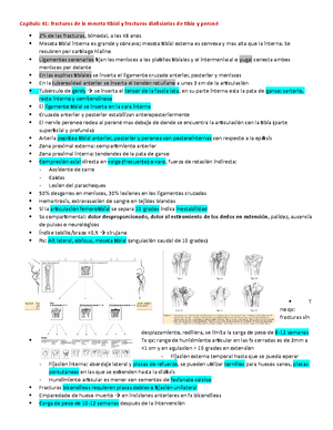 Mantenedores de espacio y mantenedor de espacio banda o corona ansa - 1 ...