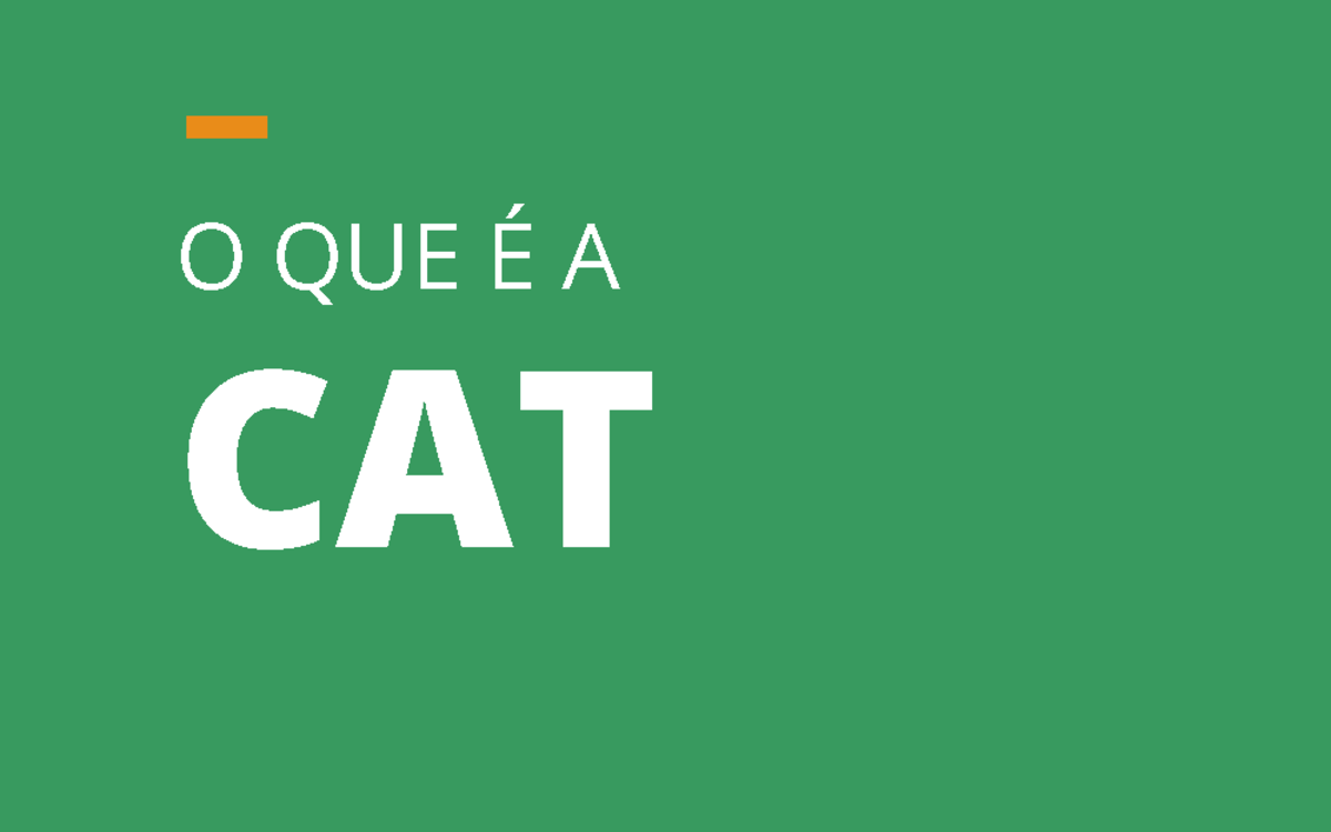 Novo e Social O Que é a CAT, Registro e Importância - O QUE É A CAT O ...