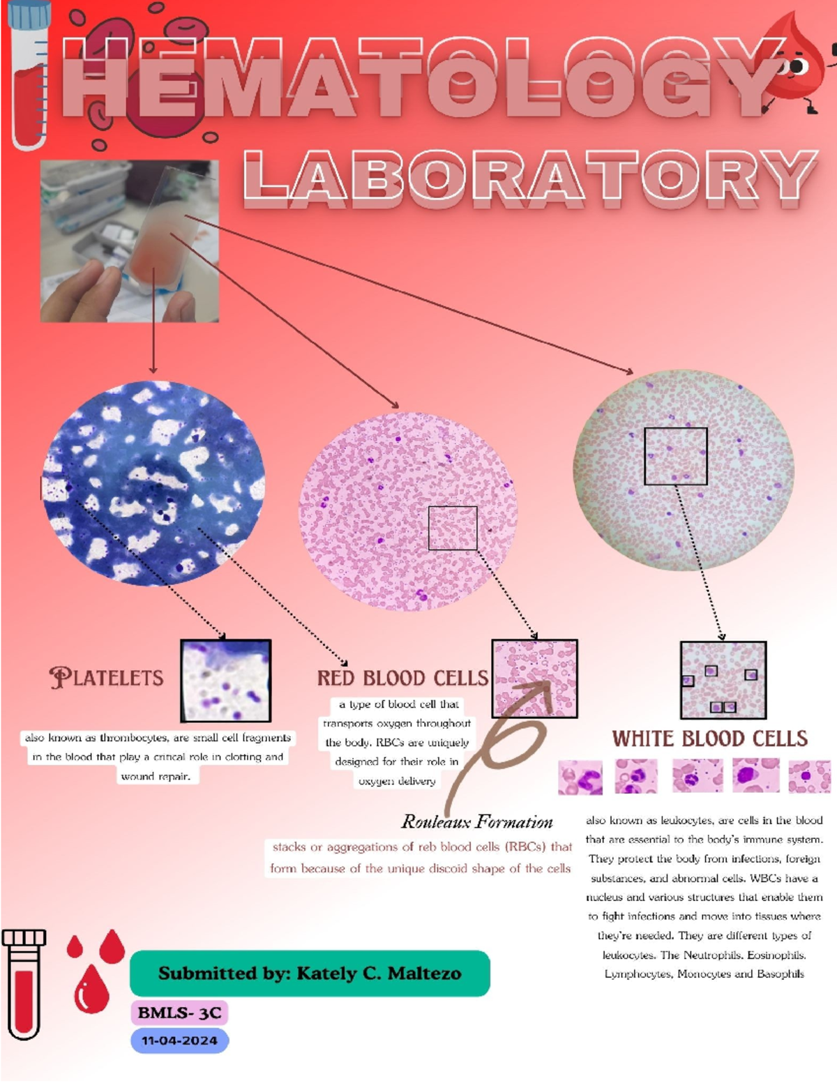 Hemaa - sample output - HEMATOLOGY ABORATORY LATELETS RED BLOOD CELLS a ...