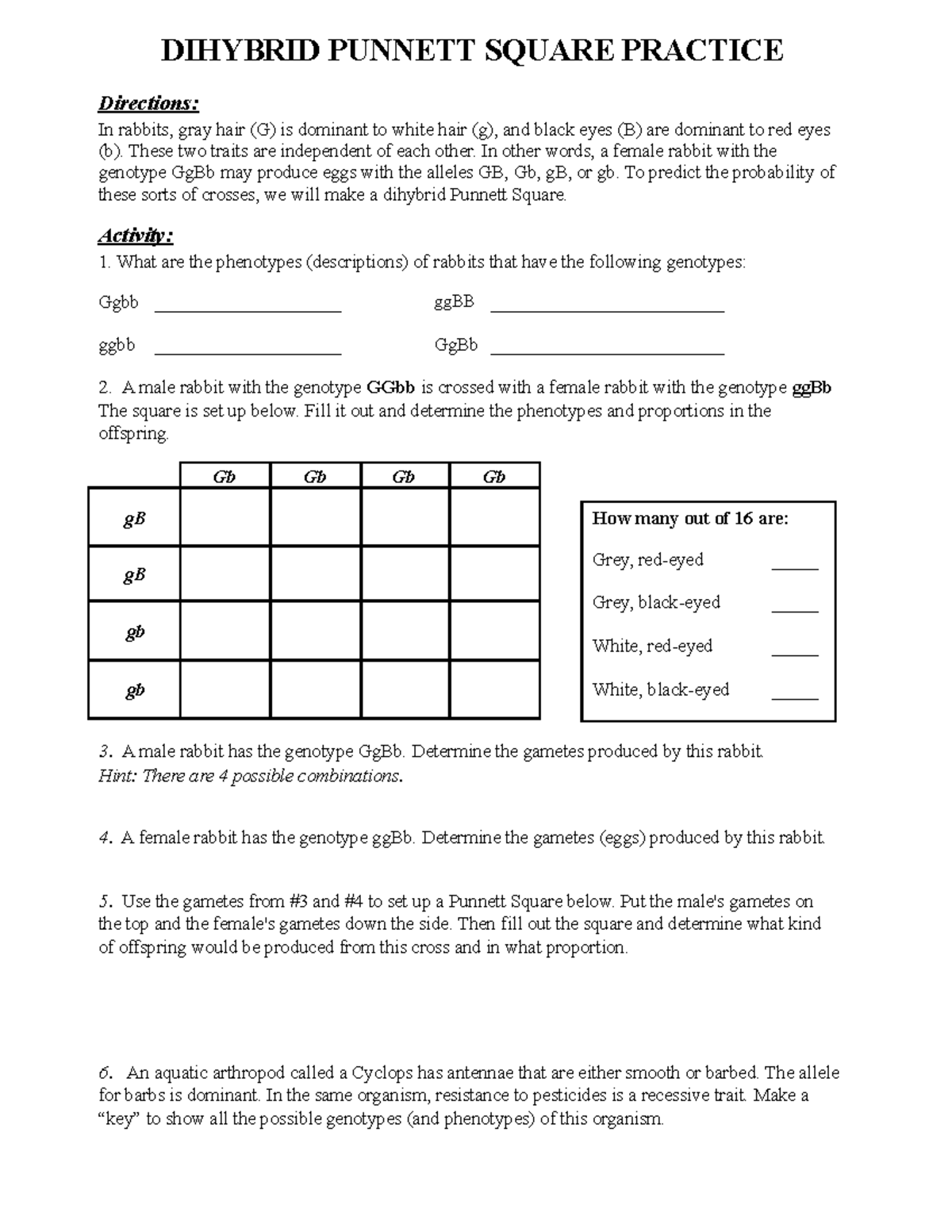 Dihybrid activity - RUBRICS - DIHYBRID PUNNETT SQUARE PRACTICE ...