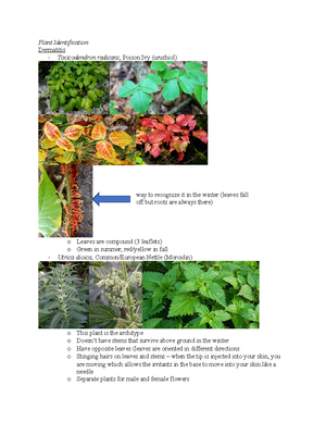 Medical Botany Exam 3 Study Guide - Plant Identification Panax ...