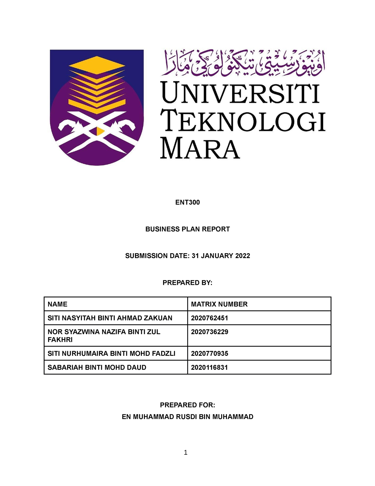 business plan report ent