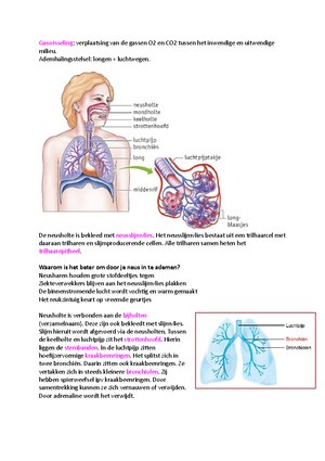 Biologie Thema 2 Voortplanting Havo 4 - Biologie Thema 2 Basisstof 1 ...