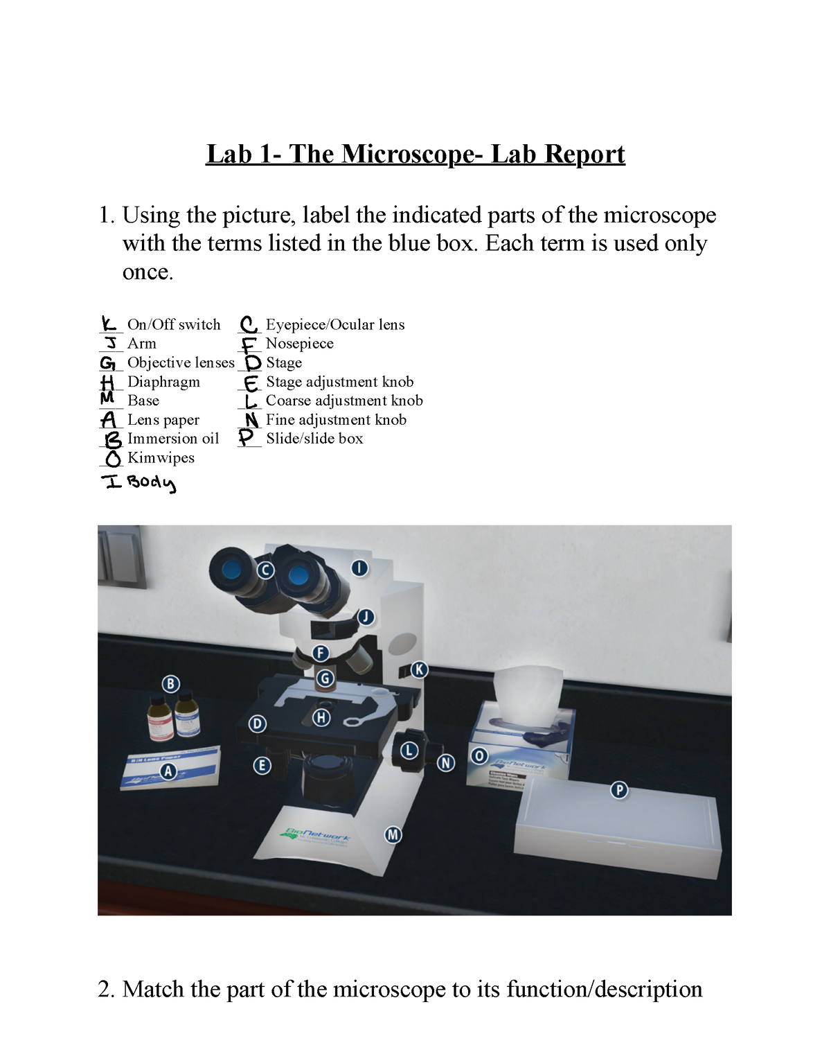 Lab 1 The Microscope Lab Report 3 Using The Picture Label The Indicated Parts Of The 