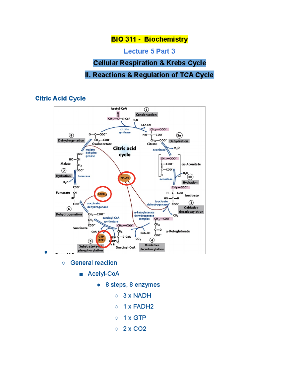 BIO 311 Lecture 5 Part 3 Fall 2020 - BIO 311 - Biochemistry Lecture 5 ...