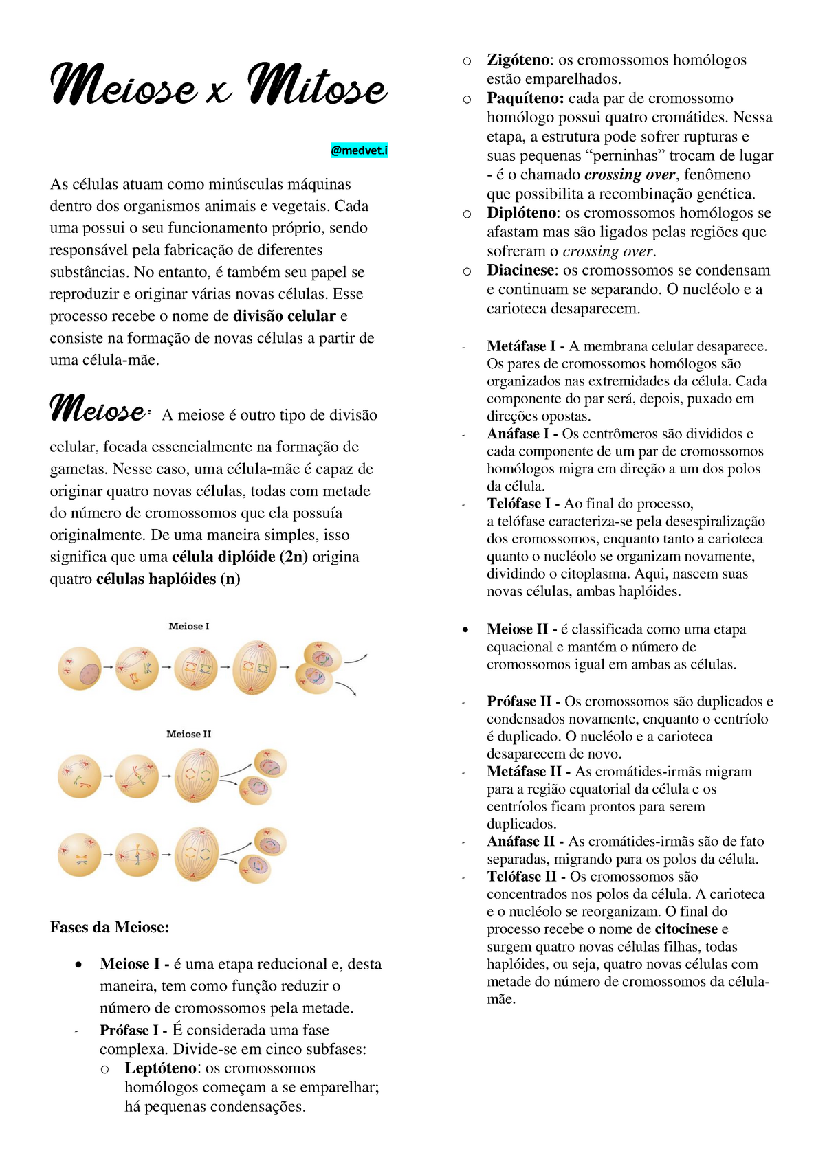 Resumo de Divisão Celular: Mitose e Meiose - Sanar Medicina