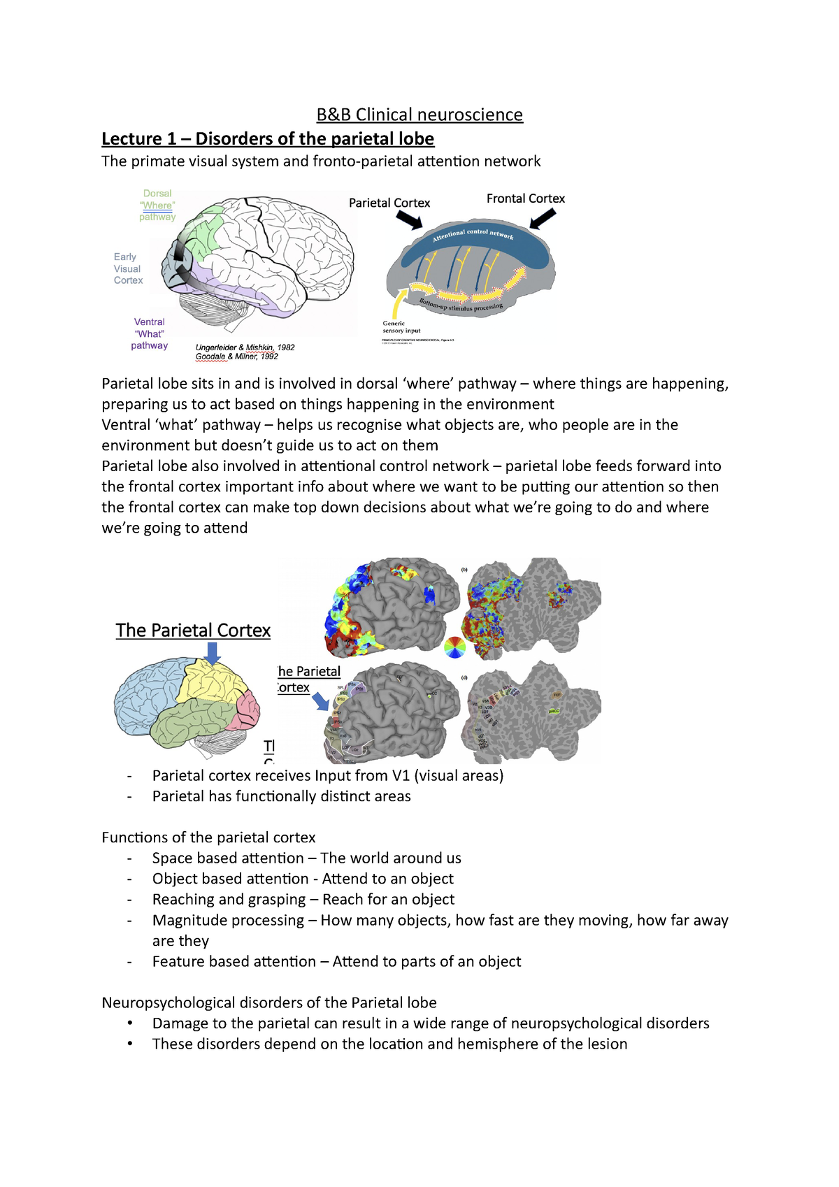 B&B Clinical Neuroscience - B&B Clinical Neuroscience Lecture 1 ...