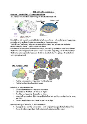 B&B - Brain Mechanisms Of Memory - B&B – Brain Mechanisms Of Memory ...