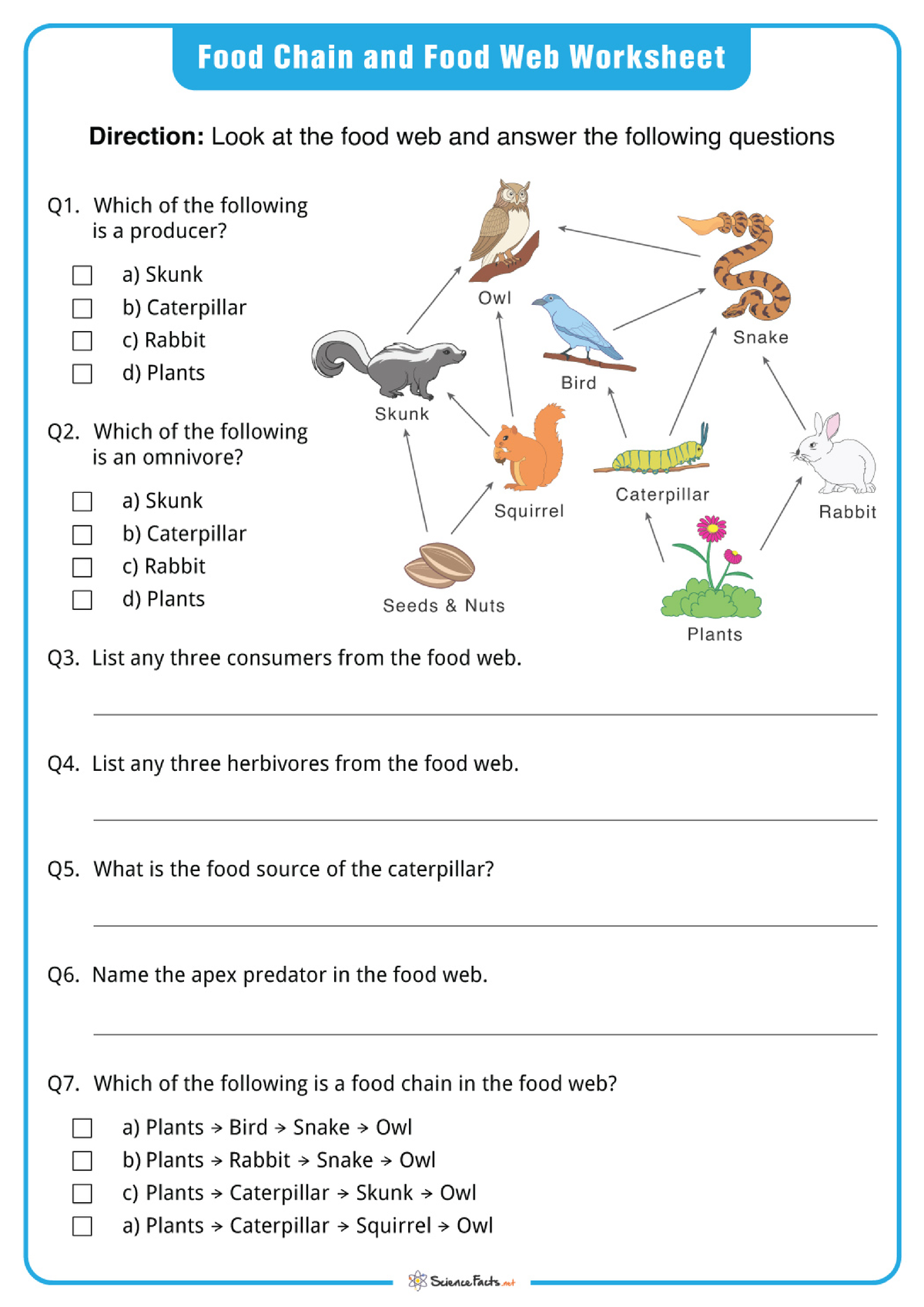 Food Chains and Webs Worksheet - Science, Technology and Society - Studocu