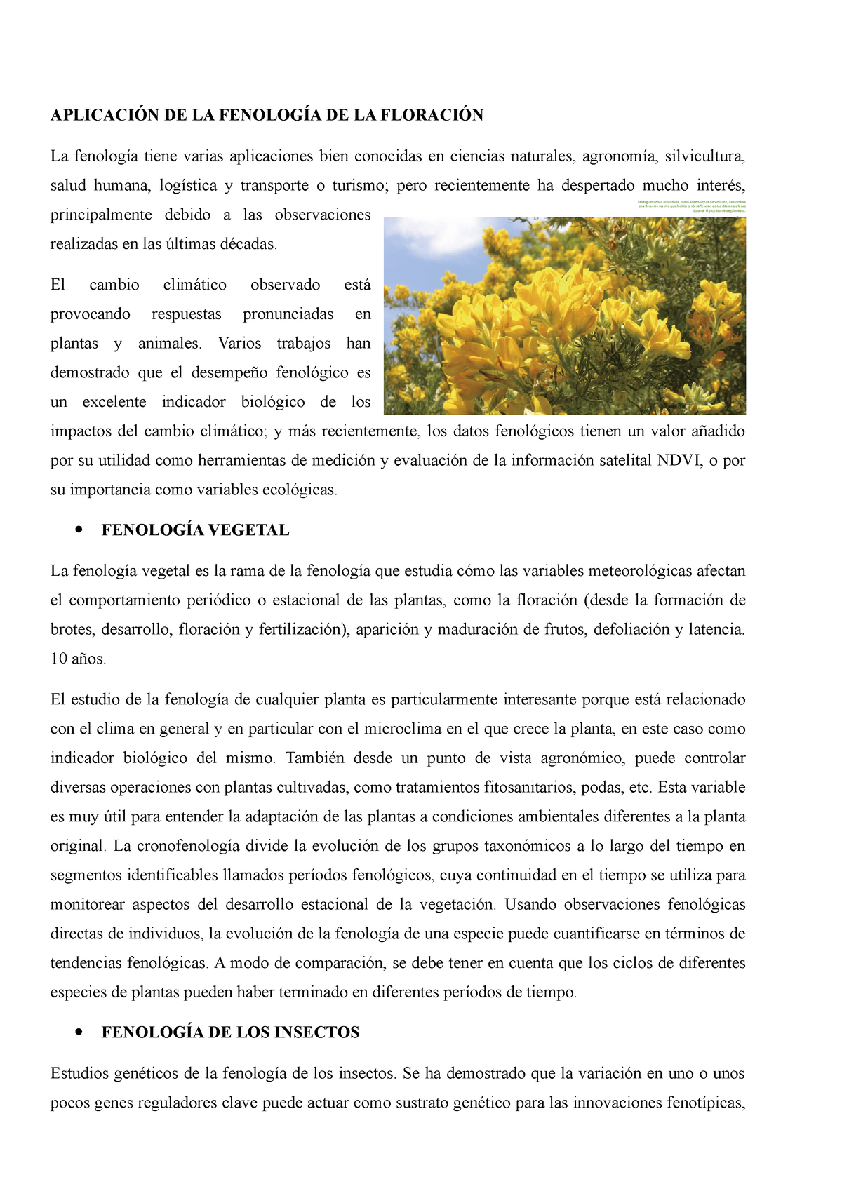 Aplicación De La Fenología De La Floración AplicaciÓn De La FenologÍa