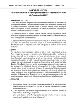 El Tema Fundamental De Las Obligaciones De Medios Y De Resultados Studocu