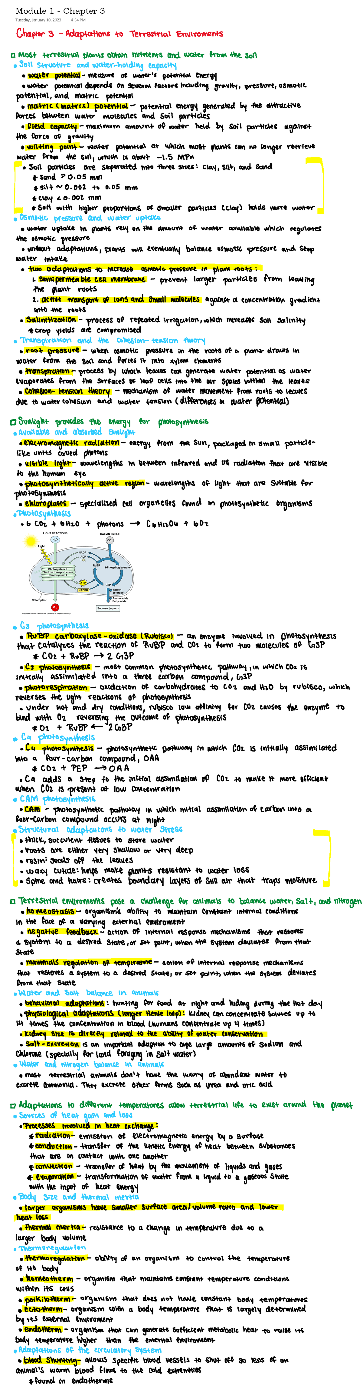 Module 1 - Chapter 3 - N/A - Module Chapter 3 Tuesday,January 10,2023 4 ...