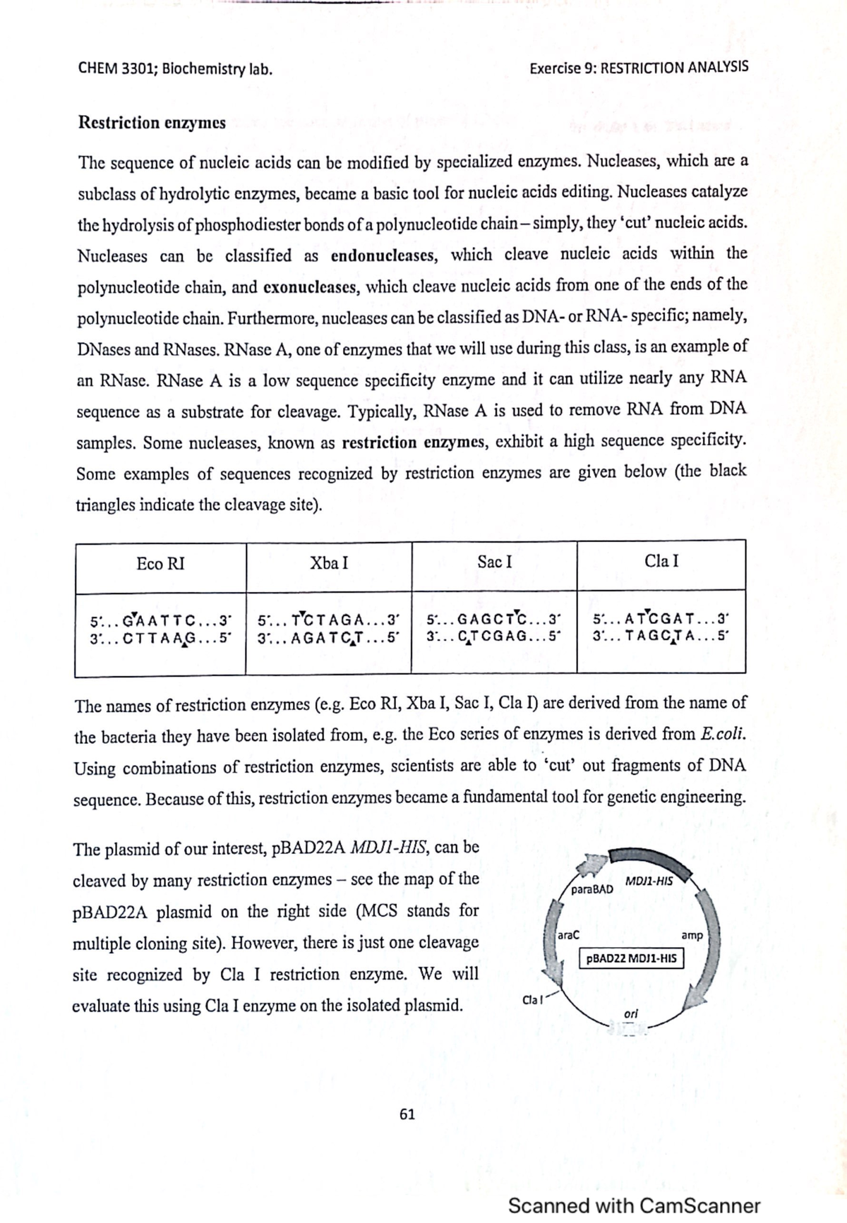 LAB9 - lab report - CHEM 3301 - Studocu